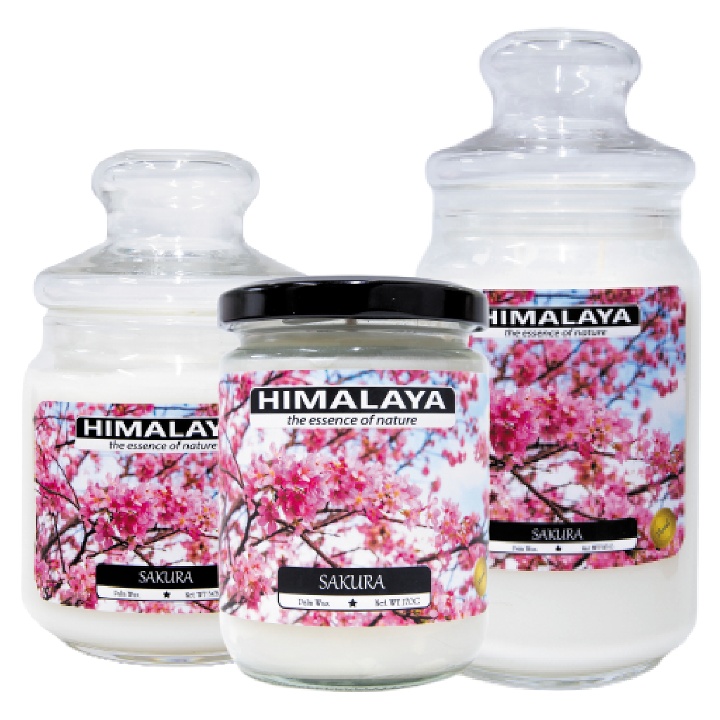 Nến thơm Himalaya hương Sakura 