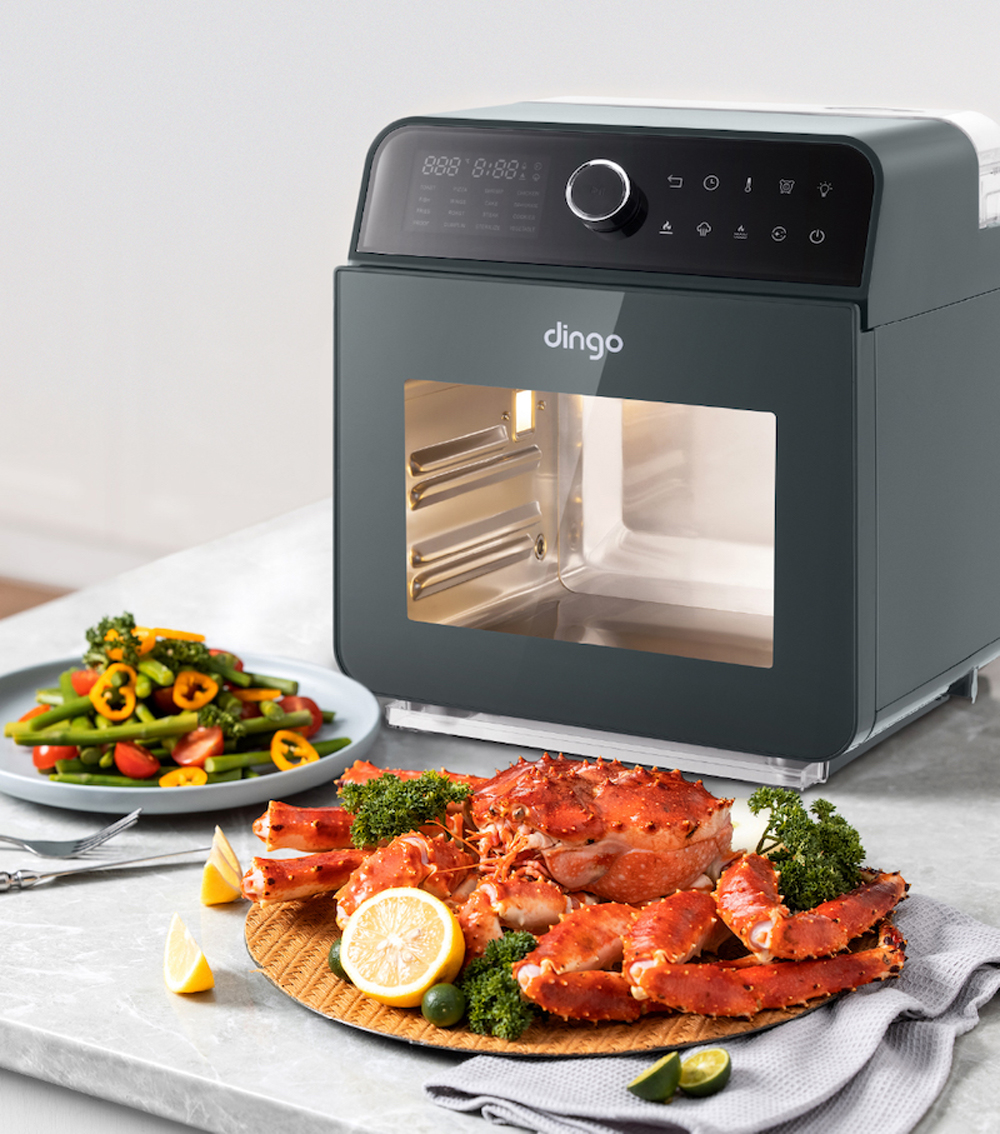 Nồi Chiên Hơi Nước DINGO DSF16