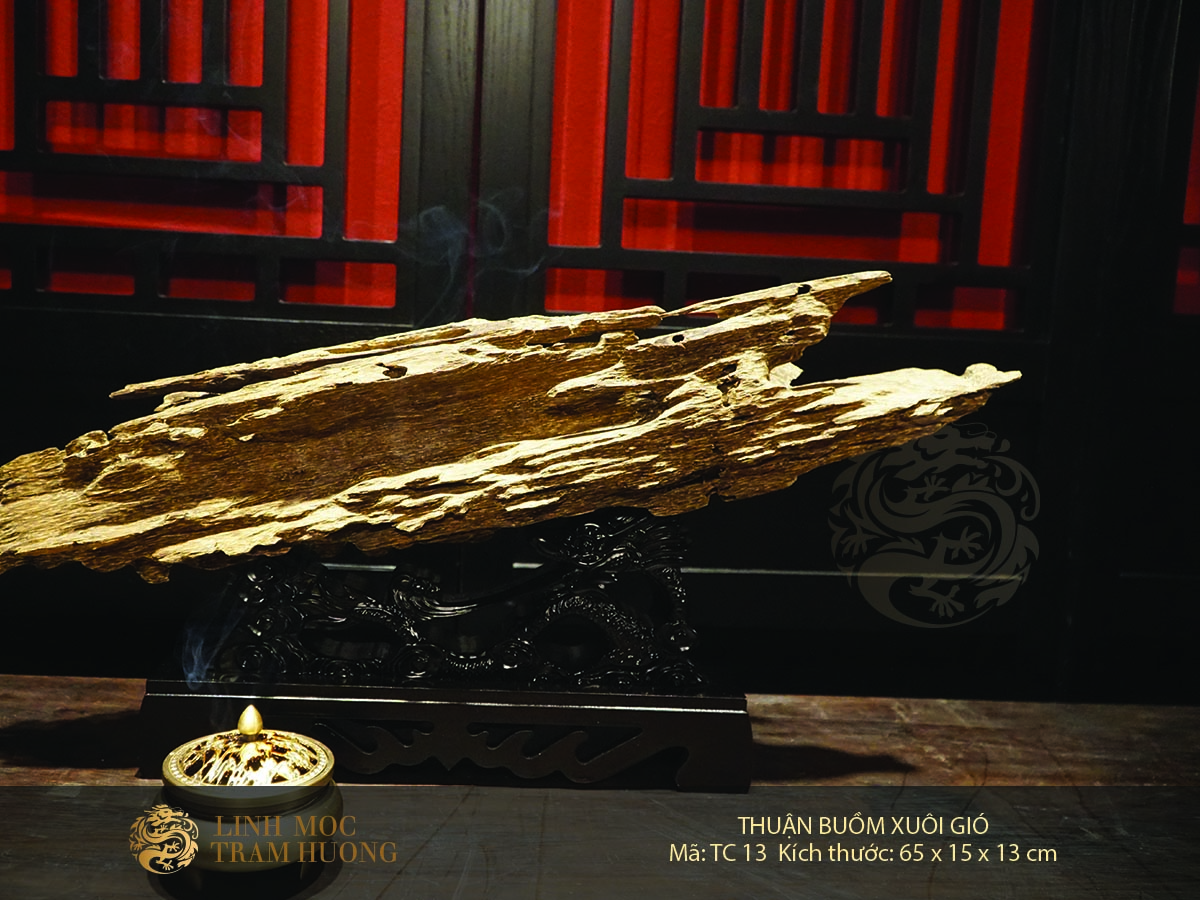 Thuận buồm xuôi gió