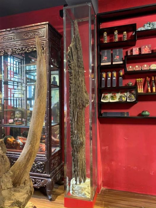 Trầm cảnh thiên thanh