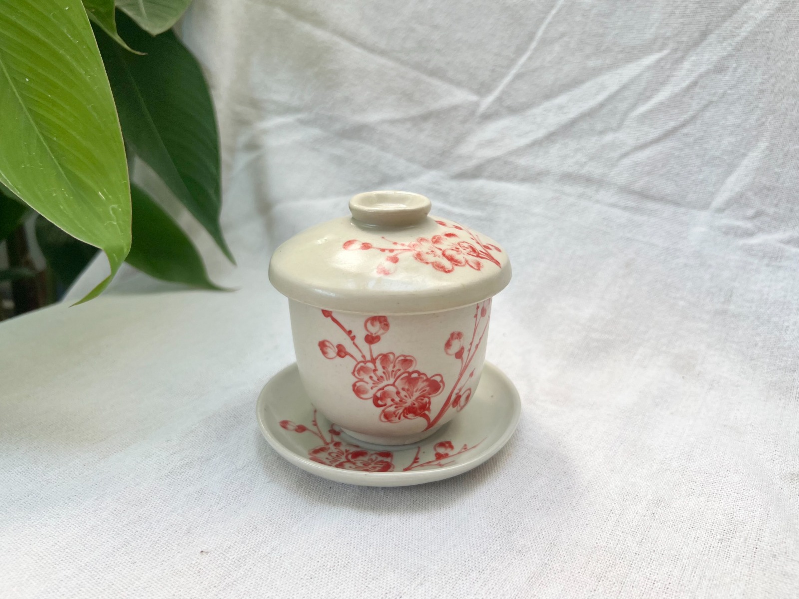 Cốc sứ hấp trứng hoa đào đỏ