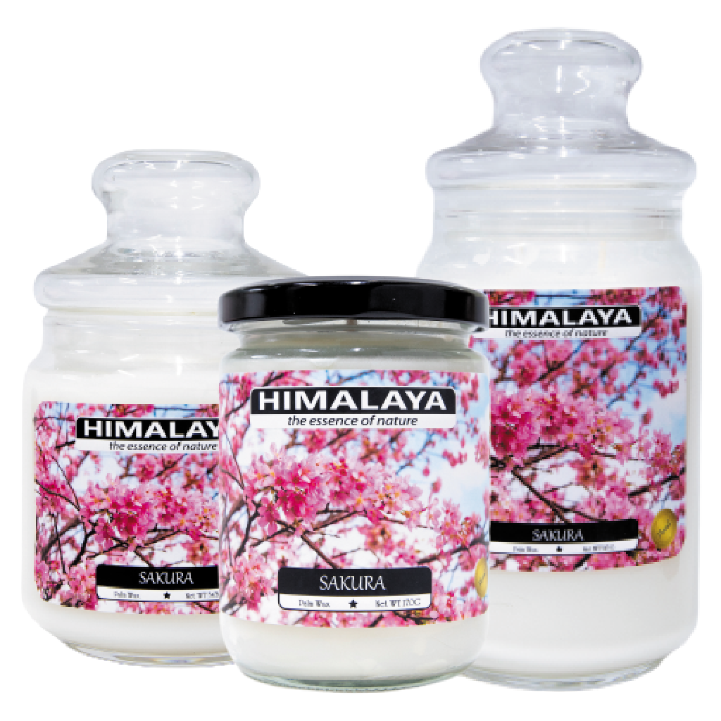 Nến thơm Himalaya hương Sakura